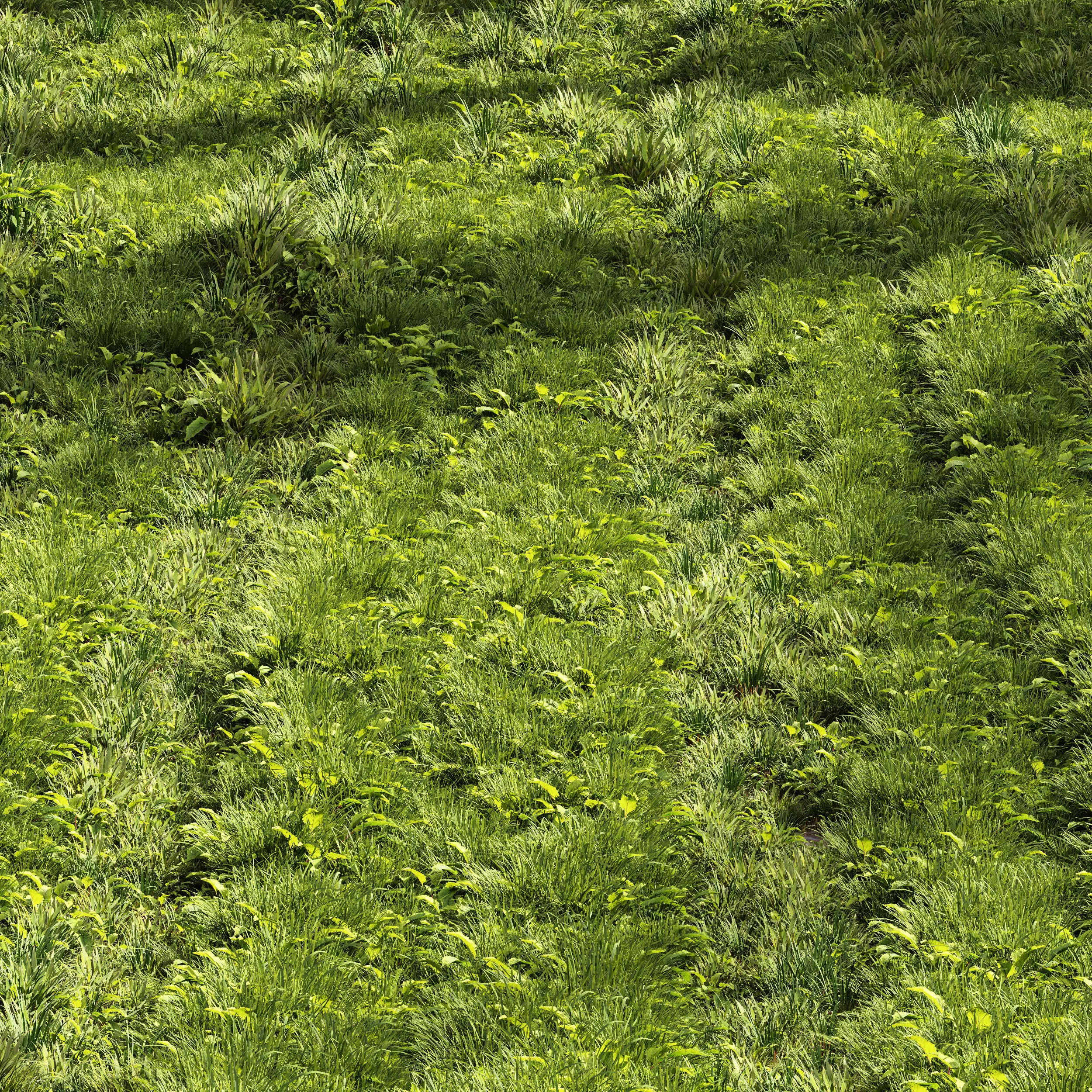 Meadow Lawn Grassland Set 005 3D model_0