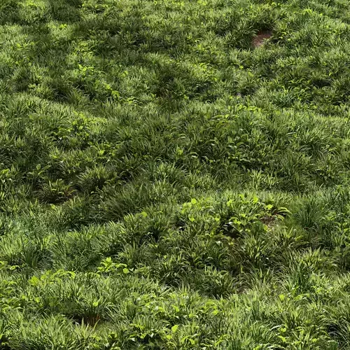 Meadow Lawn Grassland Set 007 3D model