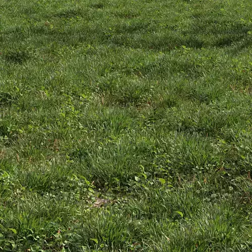 Meadow Lawn Grassland Set 008 3D model
