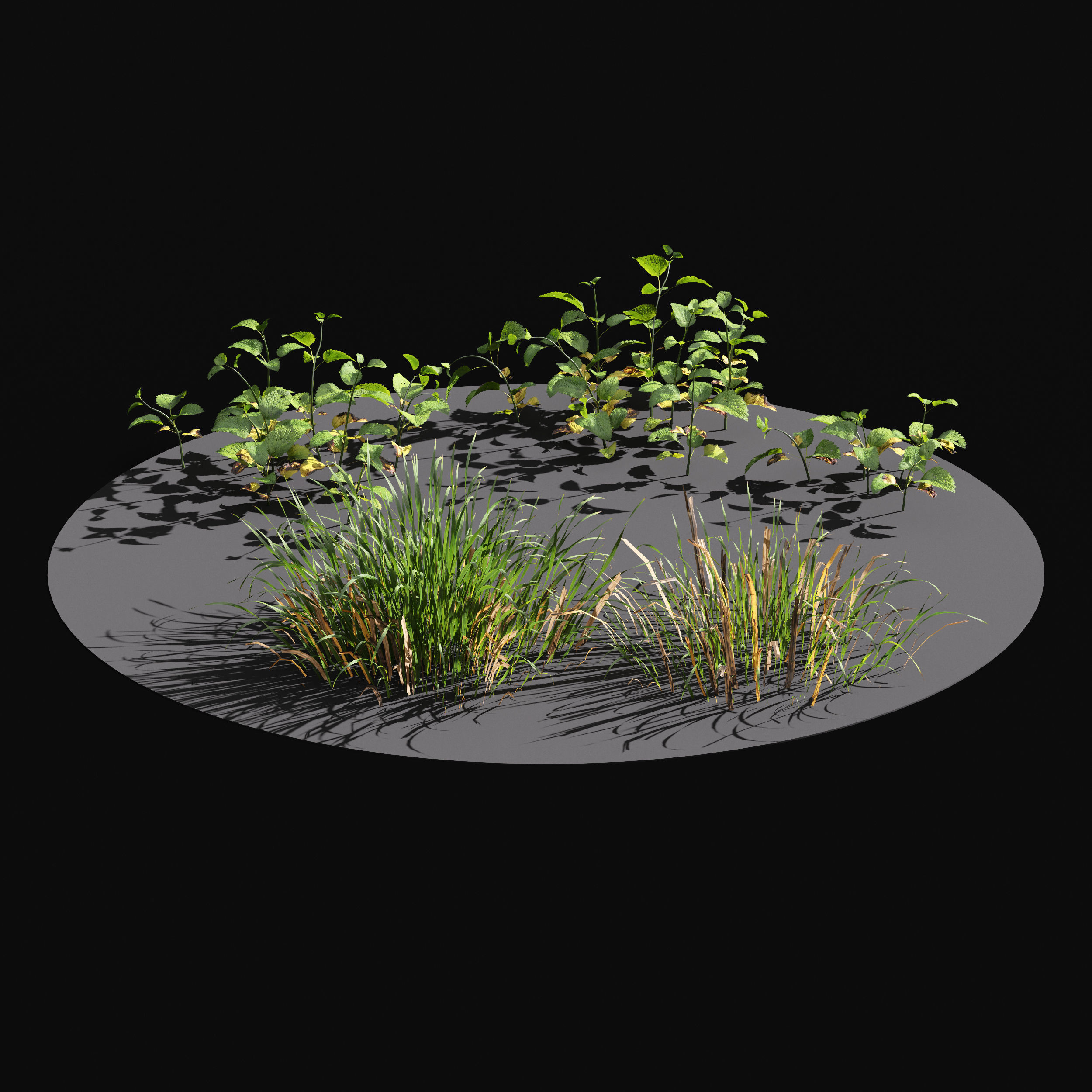 Meadow Lawn Grassland Set 008 3D model_2