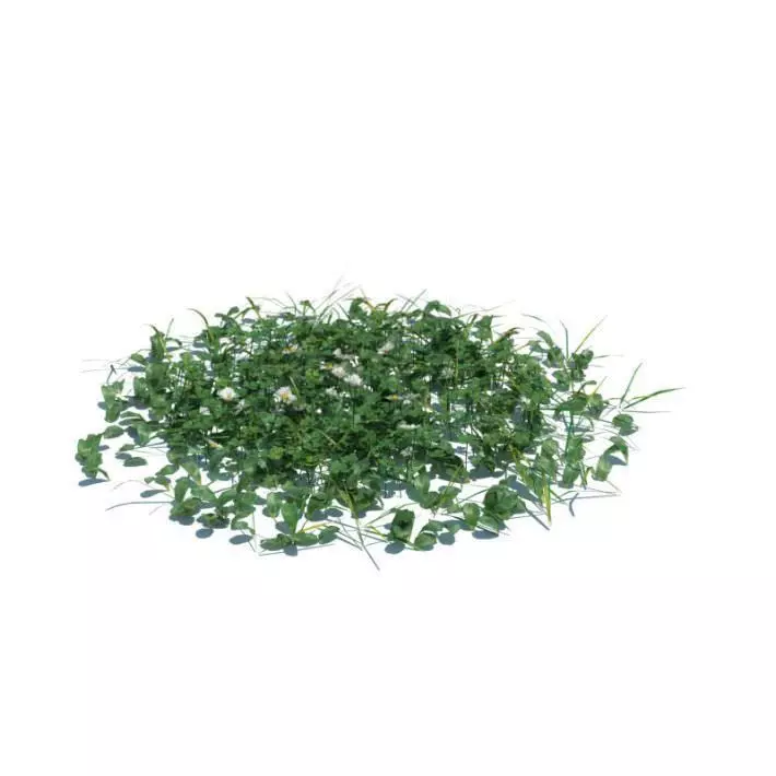 Green Patch Of Grass 3D model_0