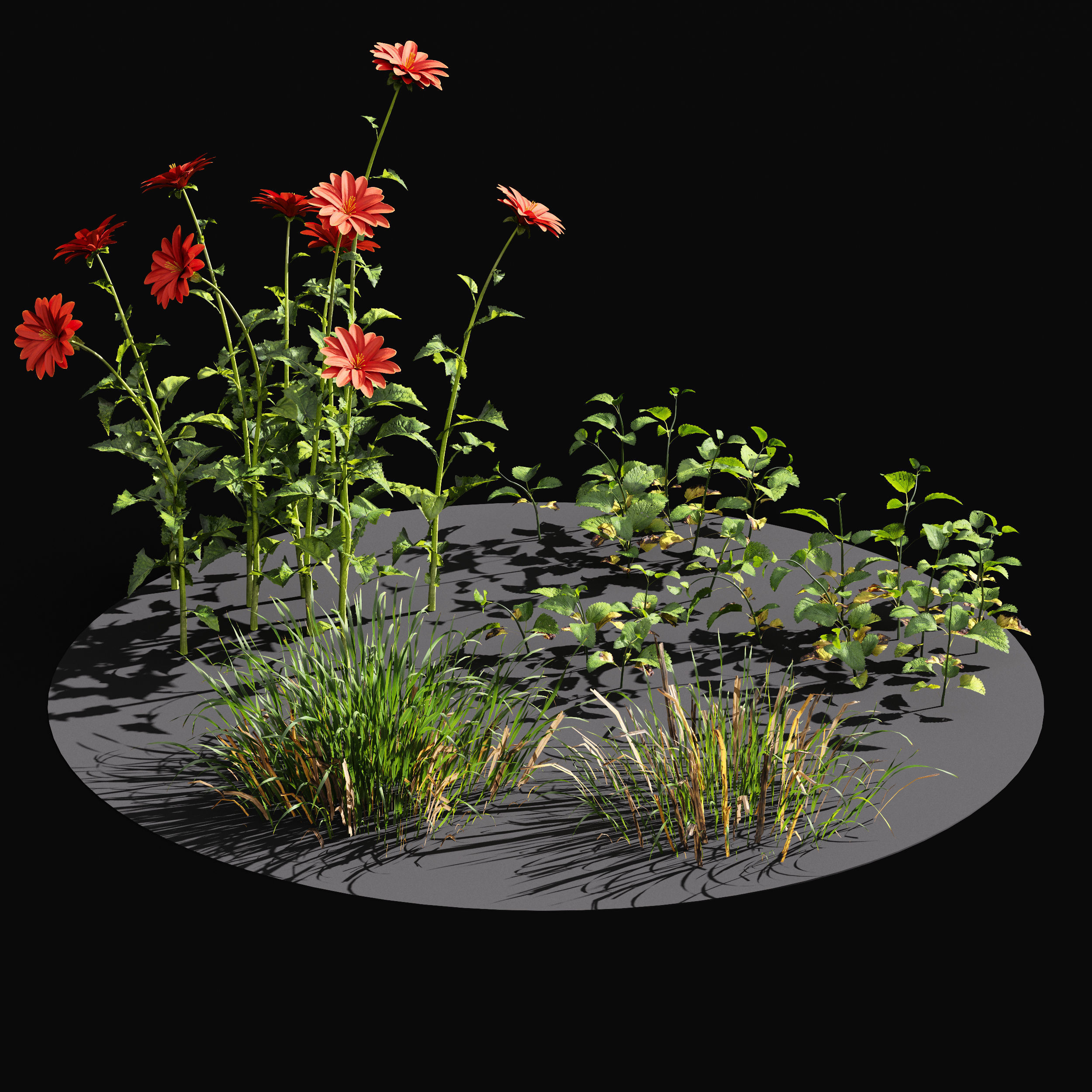 Meadow Lawn Grassland Set 009 3D model_2