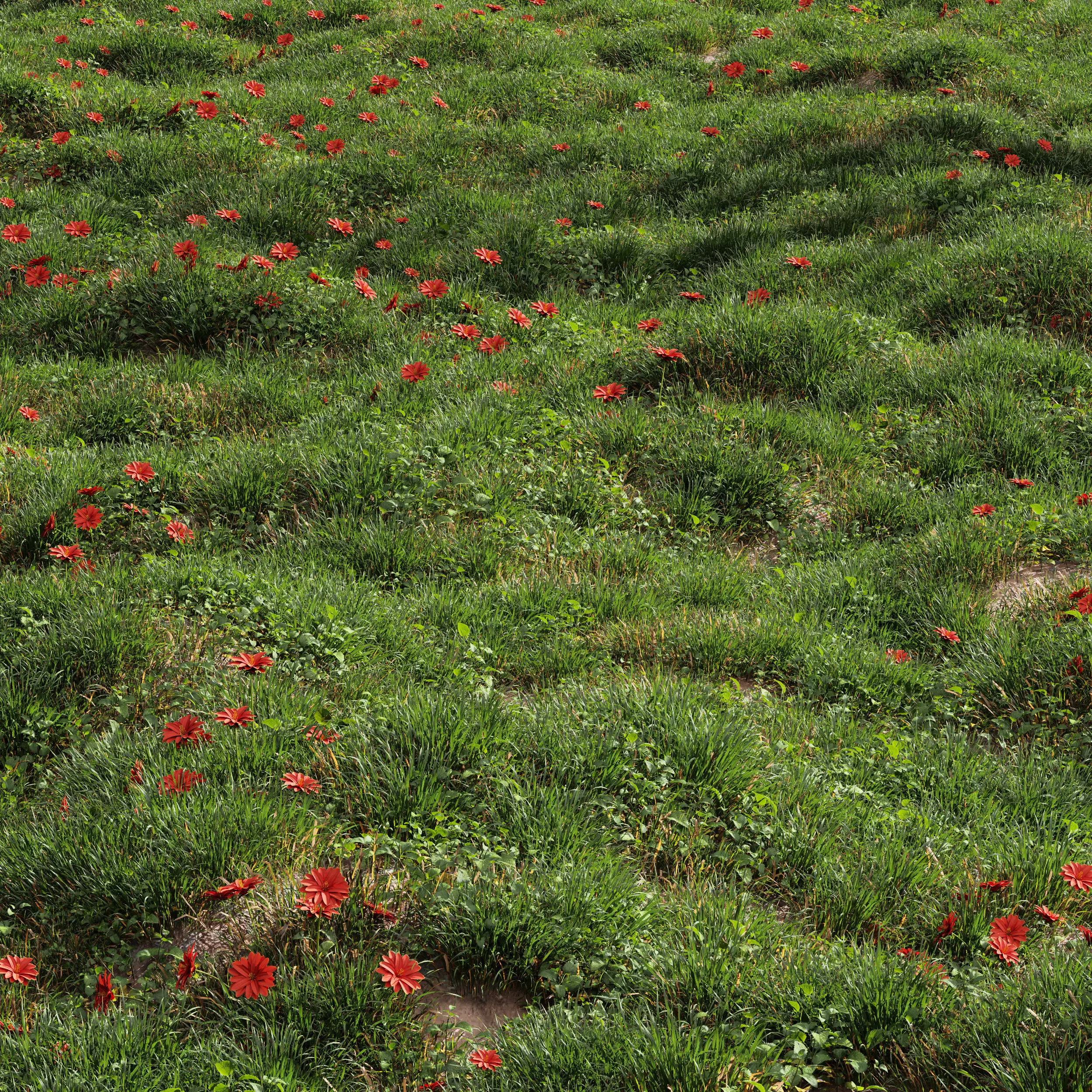 Meadow Lawn Grassland Set 009 3D model_0