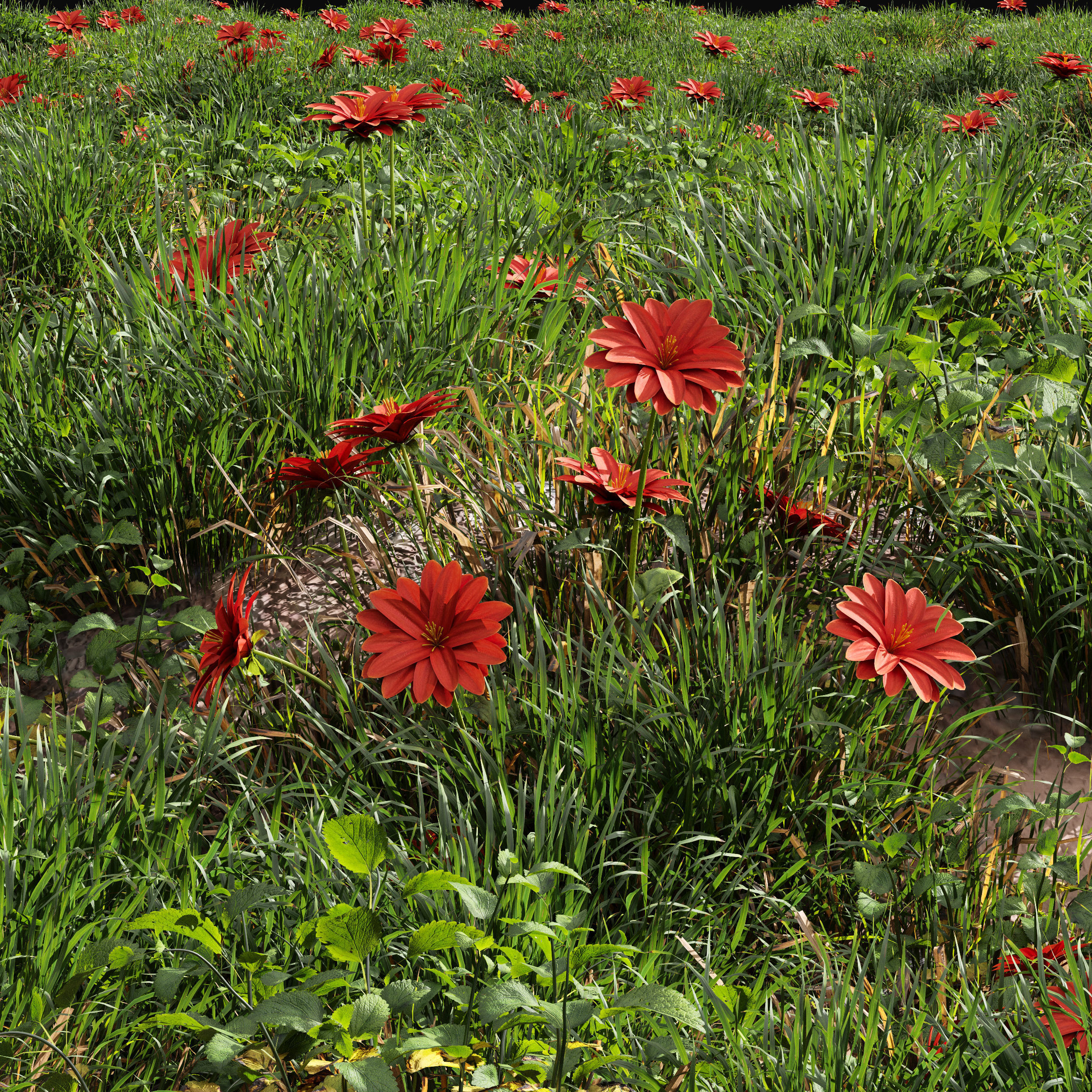 Meadow Lawn Grassland Set 009 3D model_1