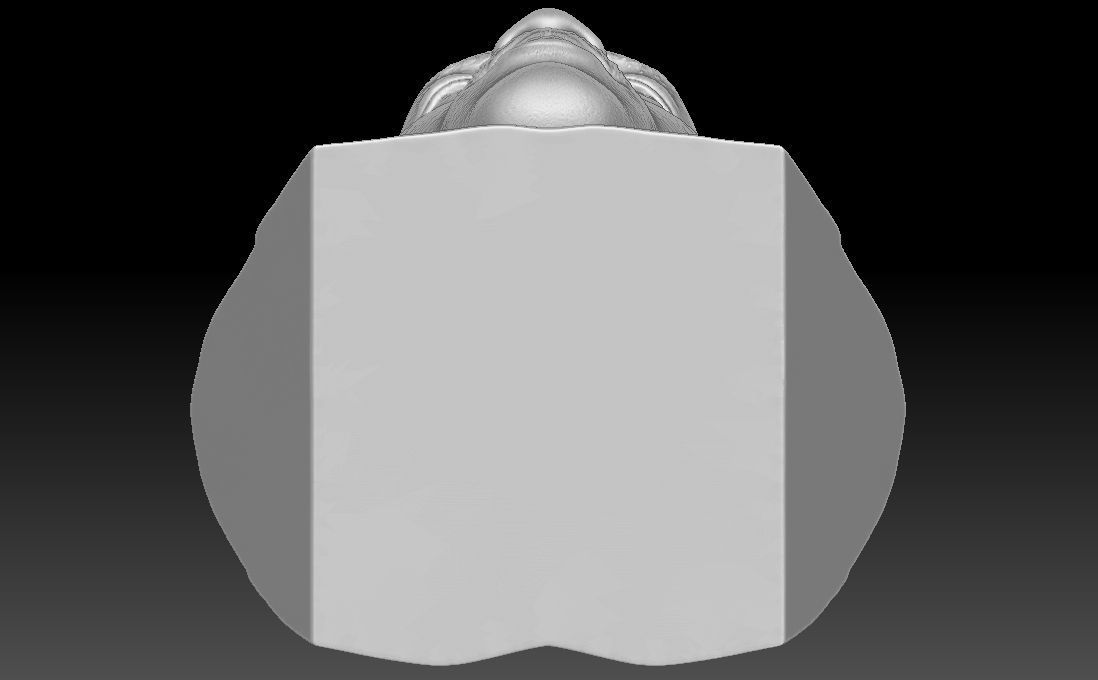 Michael Jordan bust for 3D printing 3D print model_23