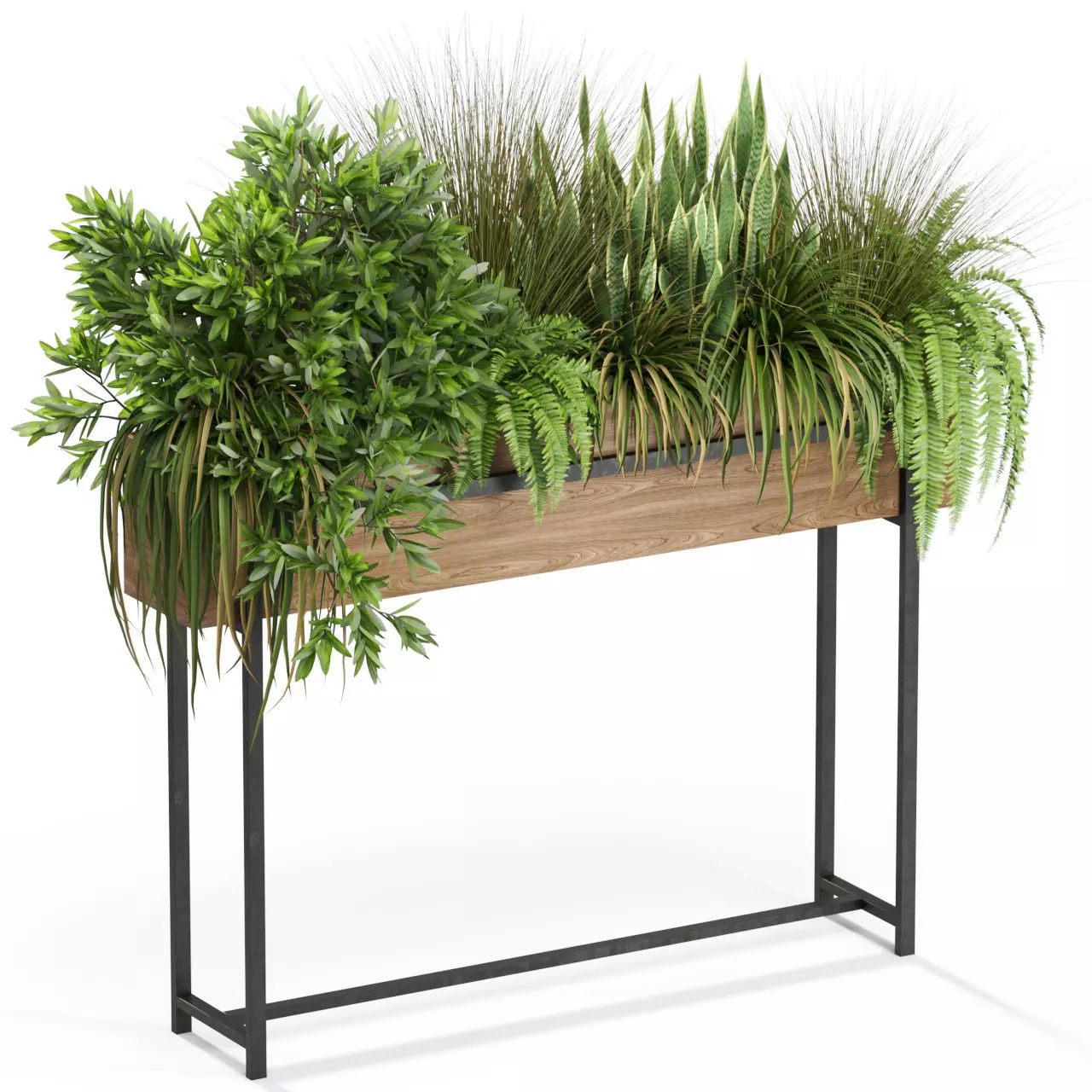 Plants collection 587 3D model