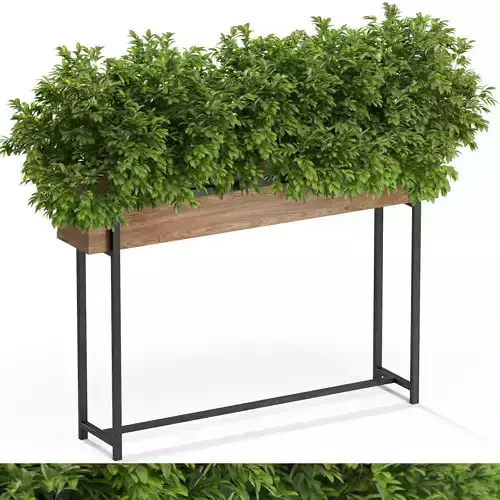 Plants collection 588 3D model