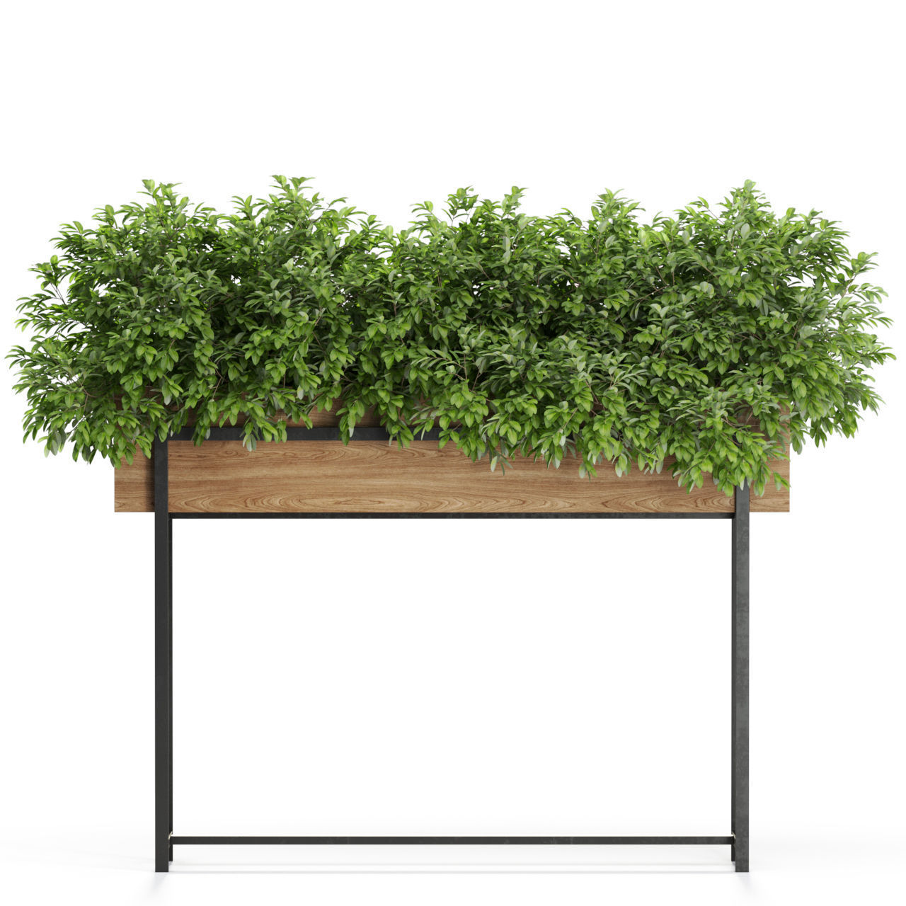 Plants collection 588 3D model_1
