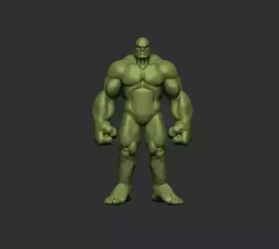 The Hulk anatomy  3D model