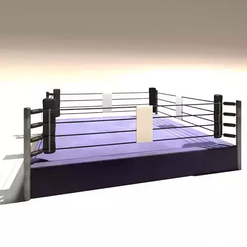 Boxing ring 