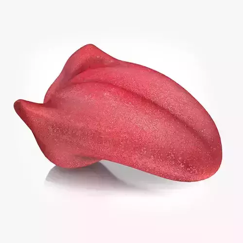 Tongue lip Low-poly 3D model