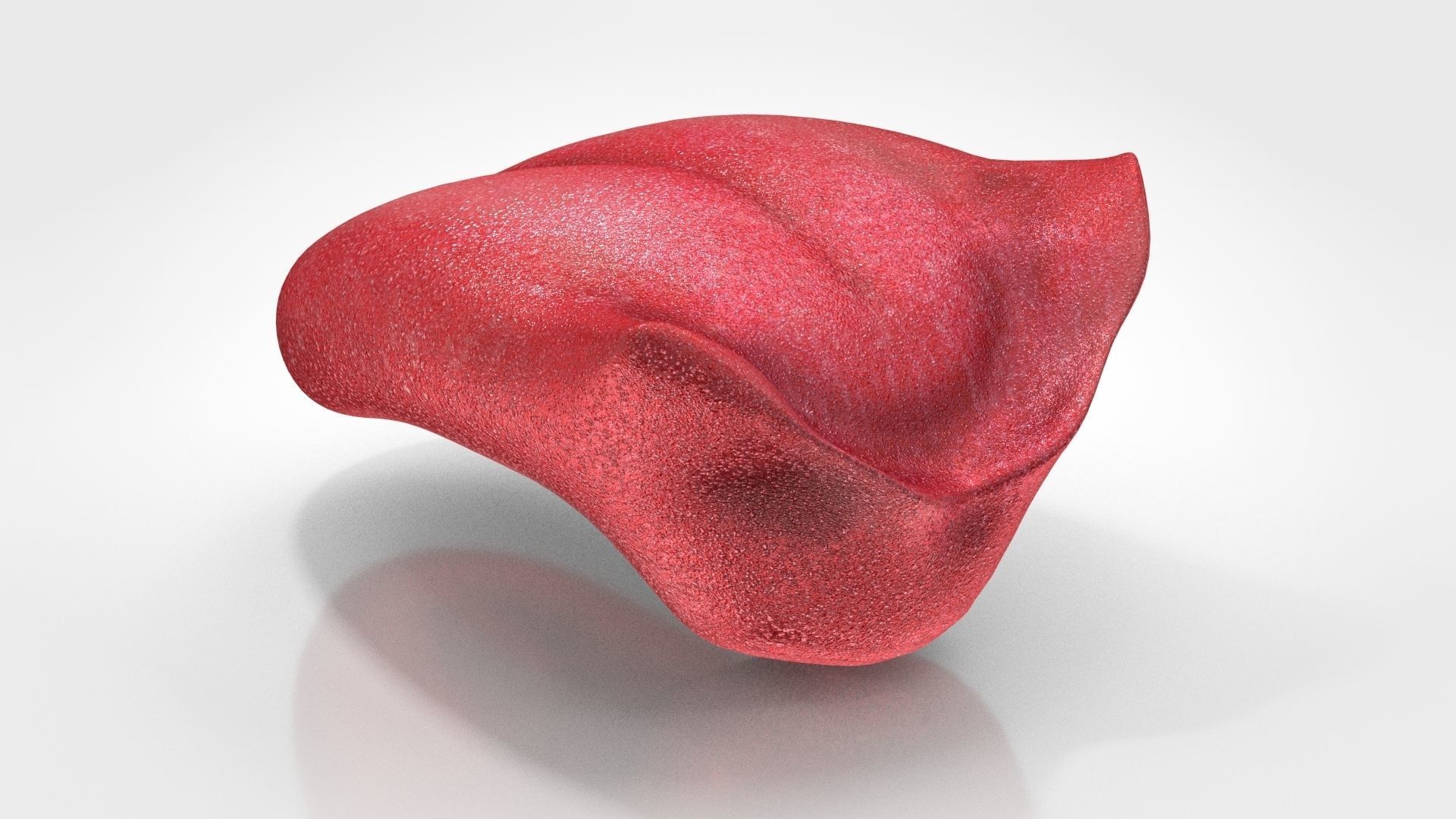 Tongue lip Low-poly 3D model_6