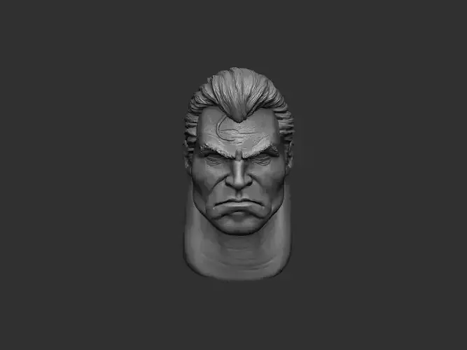 The Punisher Head 2 3D print model