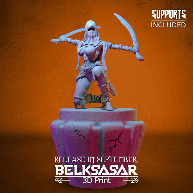 Battle Rogue Girl Normal and Nude 3D print model_2