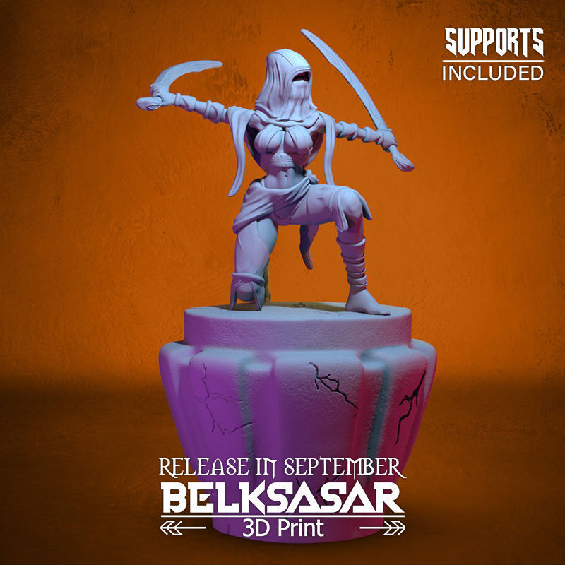 Battle Rogue Girl Normal and Nude 3D print model_16