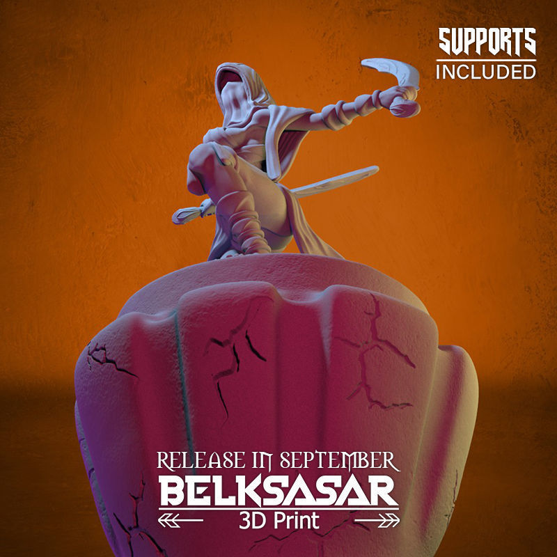 Battle Rogue Girl Normal and Nude 3D print model_38