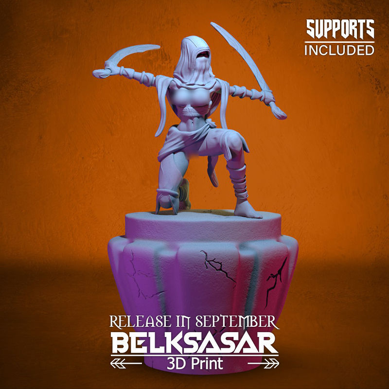 Battle Rogue Girl Normal and Nude 3D print model_1