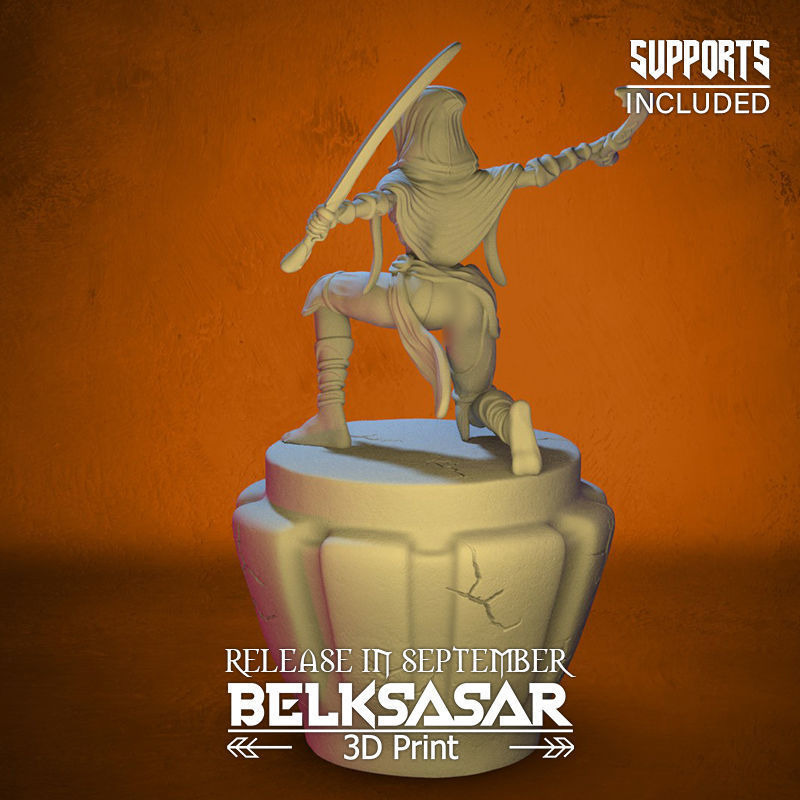 Battle Rogue Girl Normal and Nude 3D print model_9