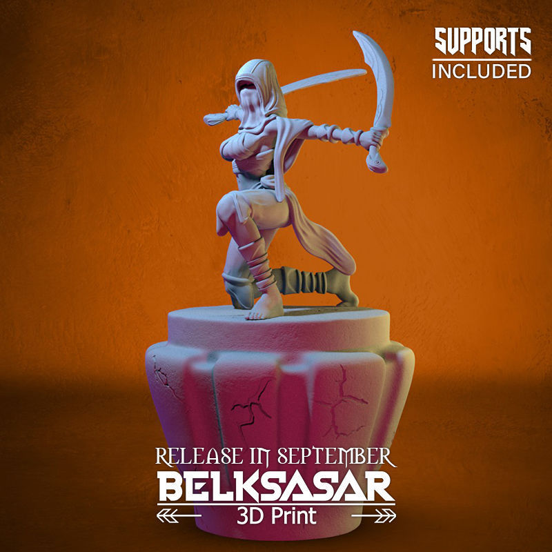 Battle Rogue Girl Normal and Nude 3D print model_4