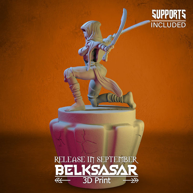 Battle Rogue Girl Normal and Nude 3D print model_6