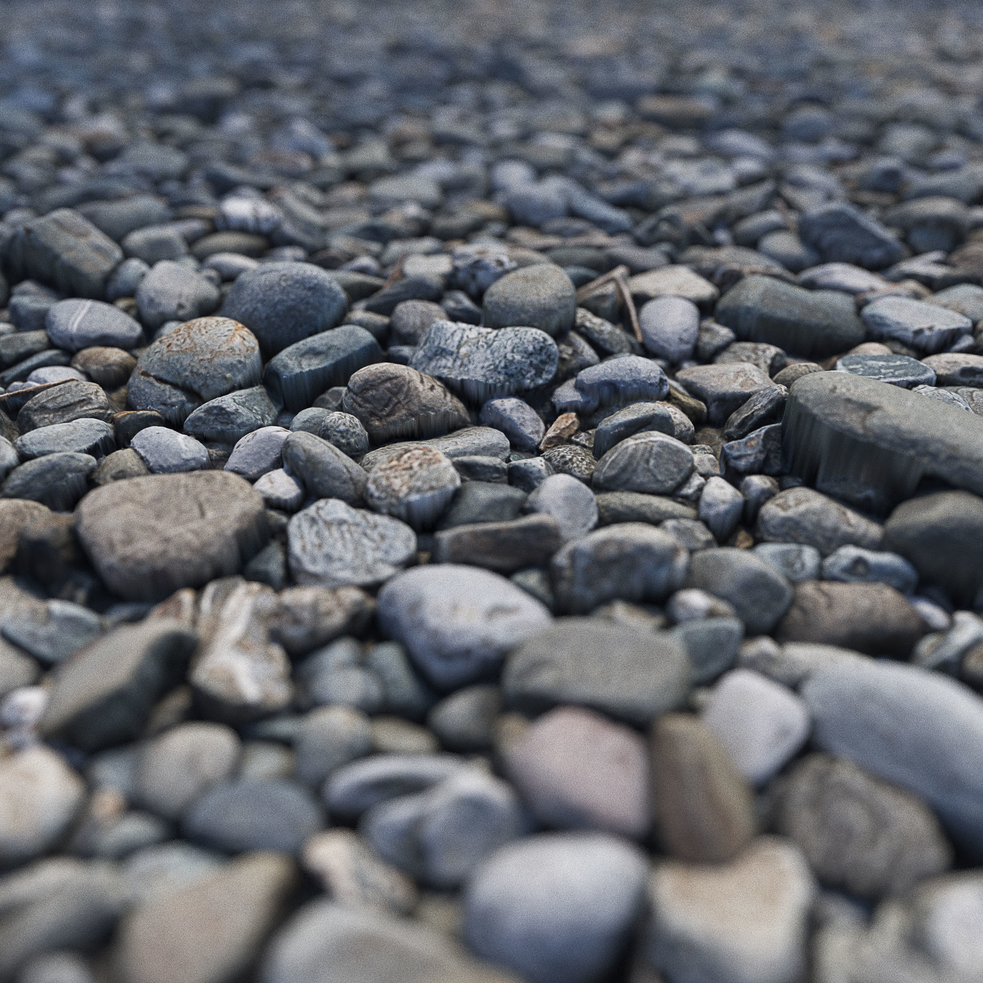Pebbles ground HQ 3D model_3