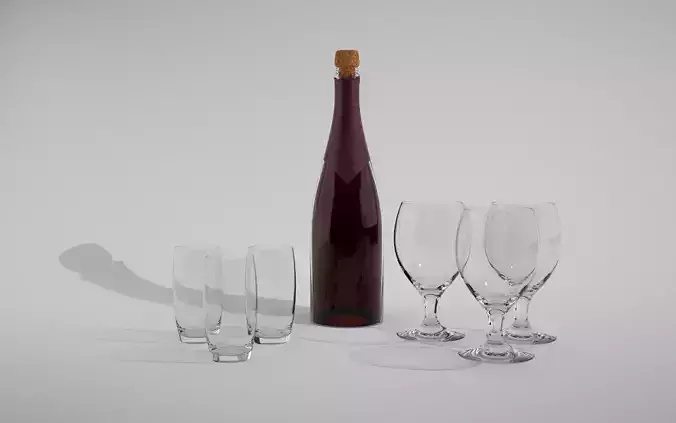 champagne Bottle and  glass set 