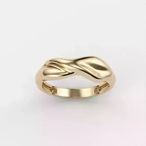 Women ring  plasticity stl