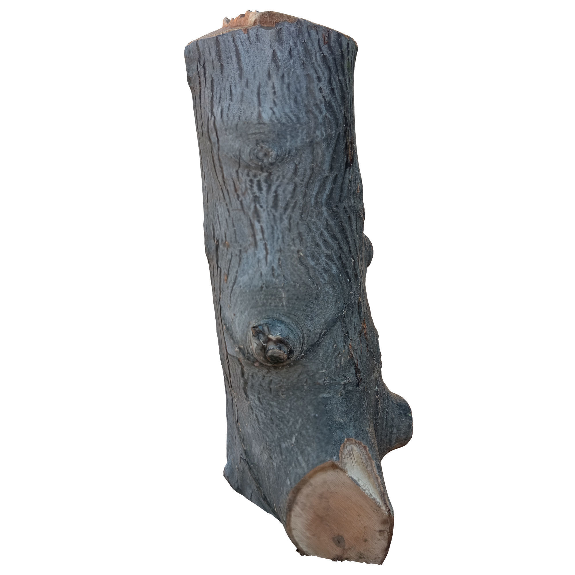 trunk 45 3D model_2