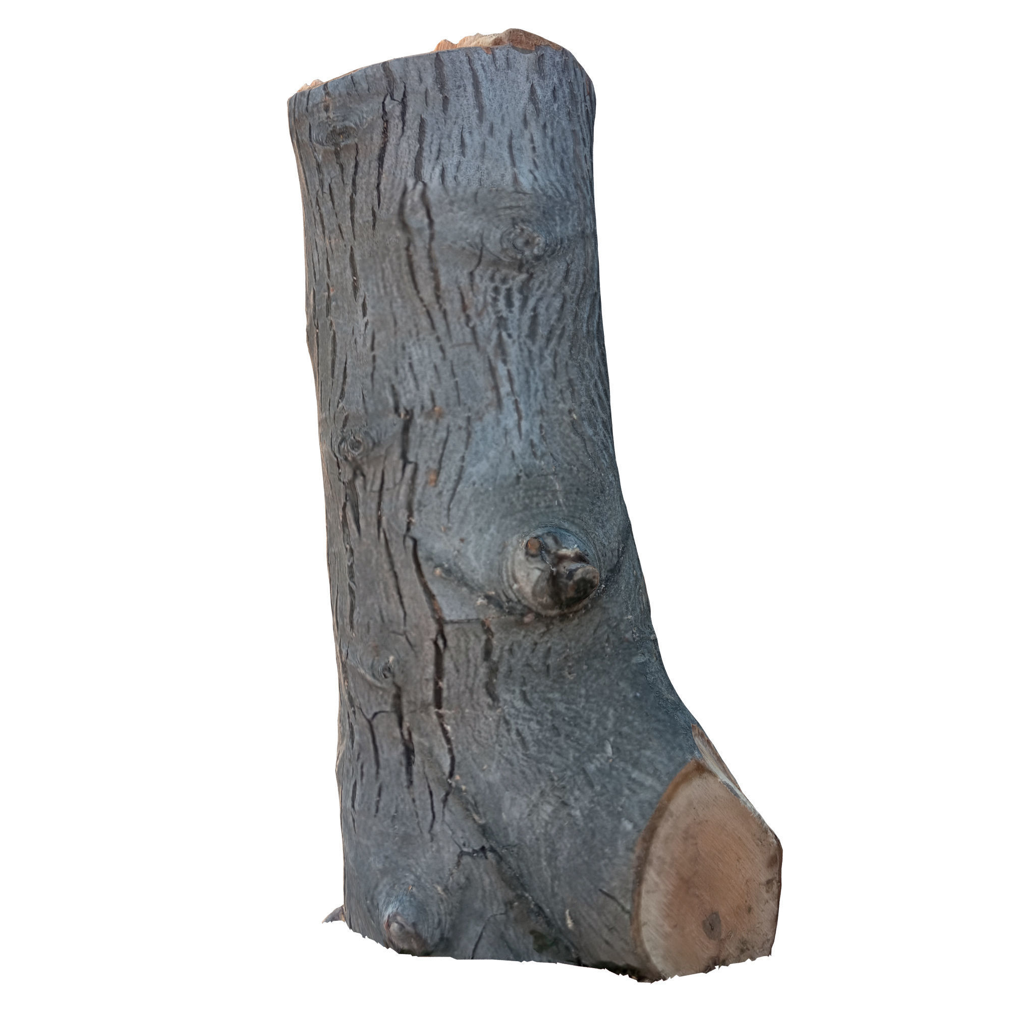 trunk 45 3D model_1