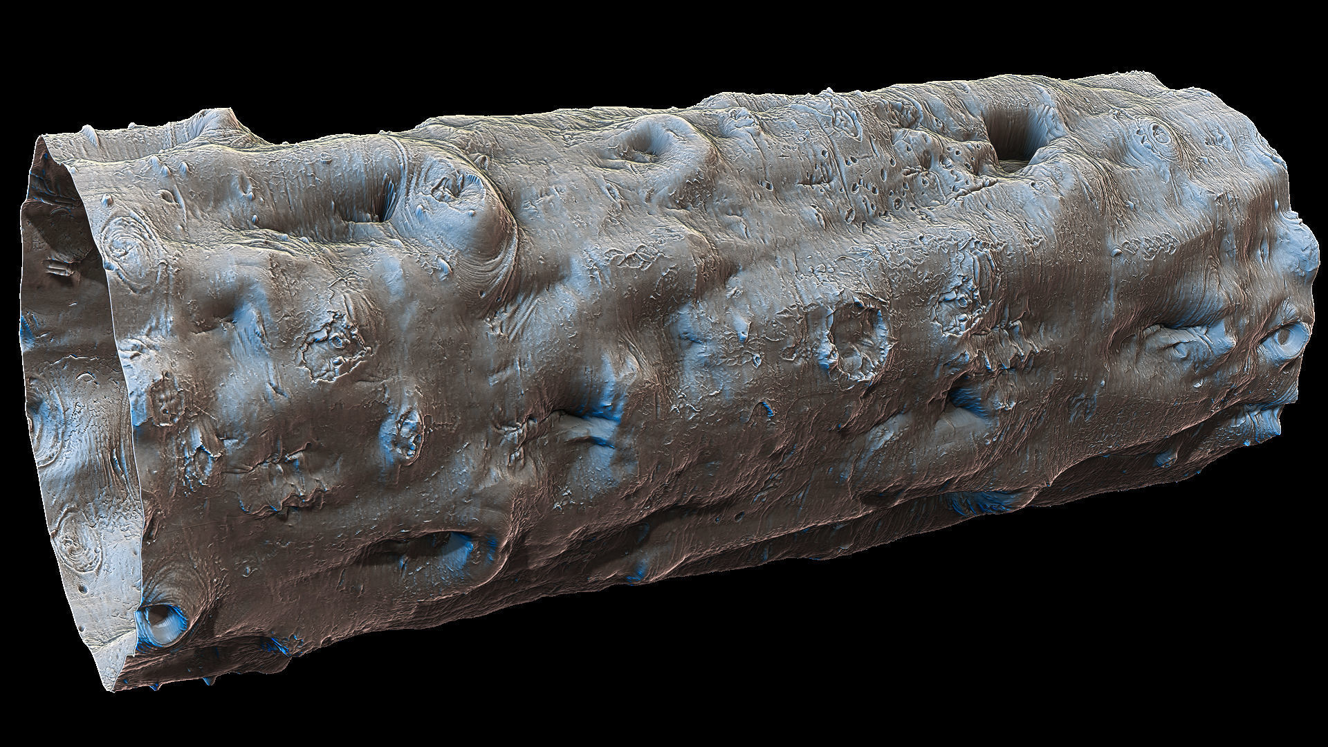 Ultra HQ Tree Bark Sculpt Zbrush brushes and Alphas Vol1 3D model_9