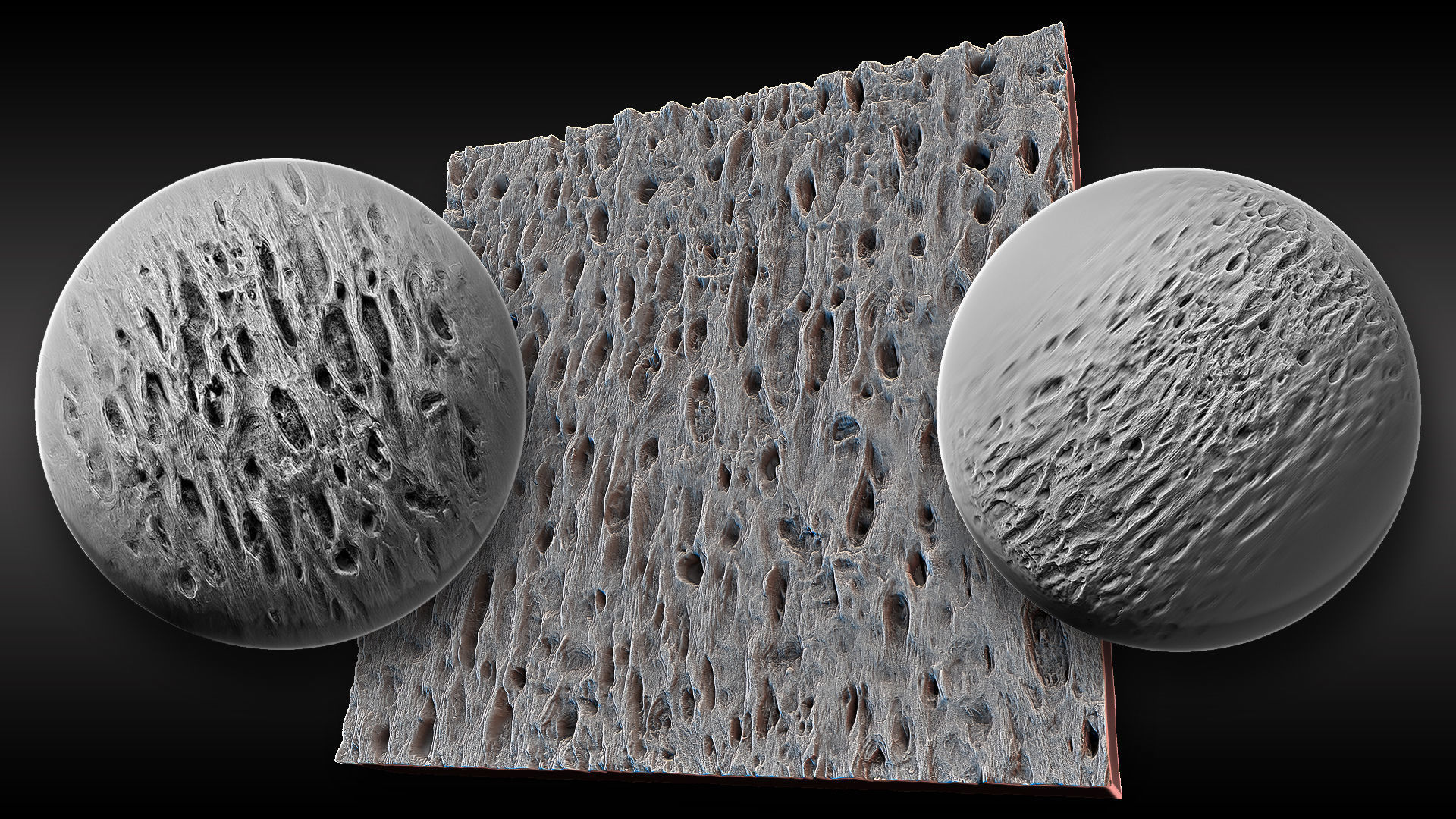 Ultra HQ Tree Bark Sculpt Zbrush brushes and Alphas Vol1 3D model_10
