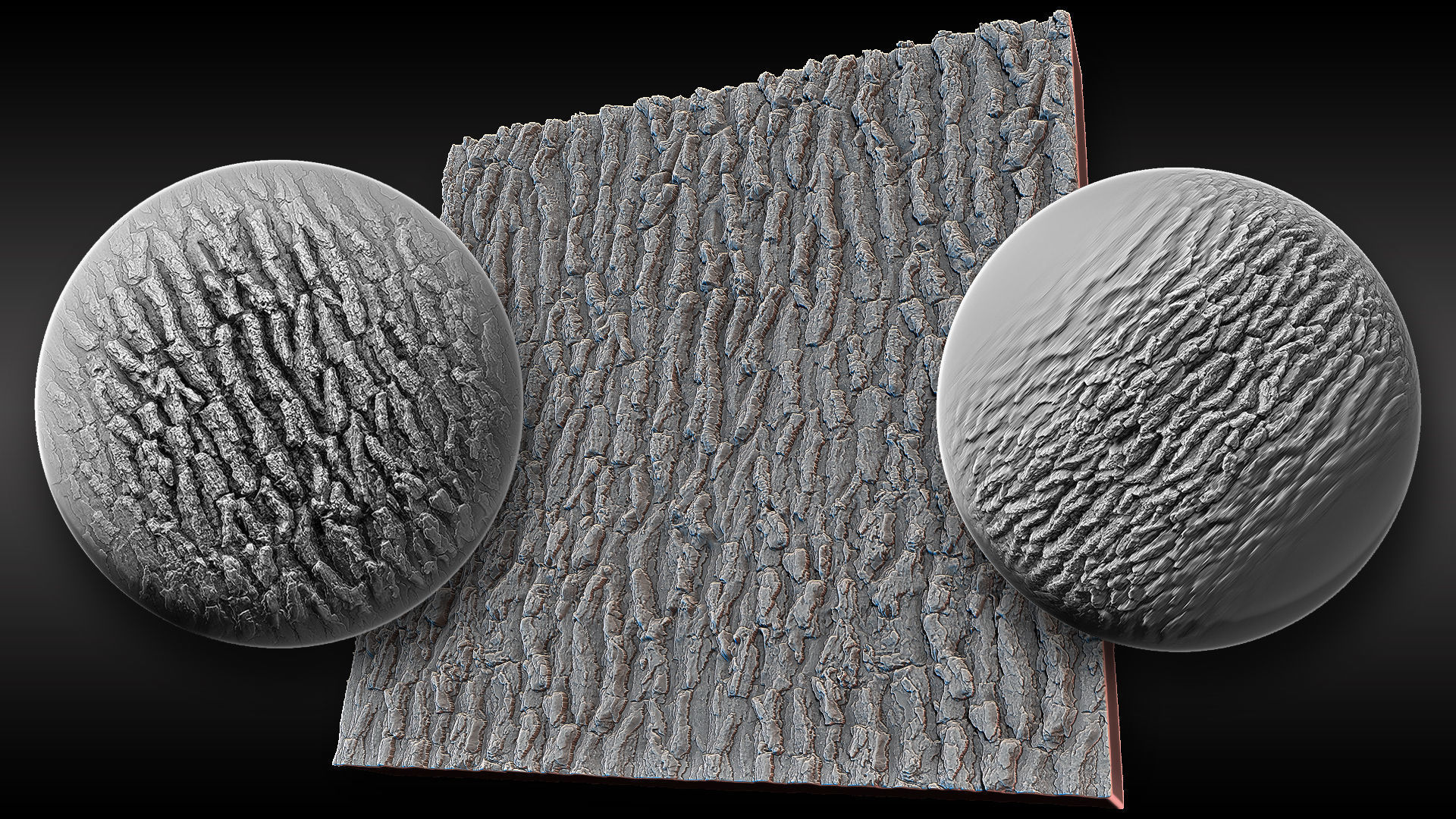 Ultra HQ Tree Bark Sculpt Zbrush brushes and Alphas Vol1 3D model_8