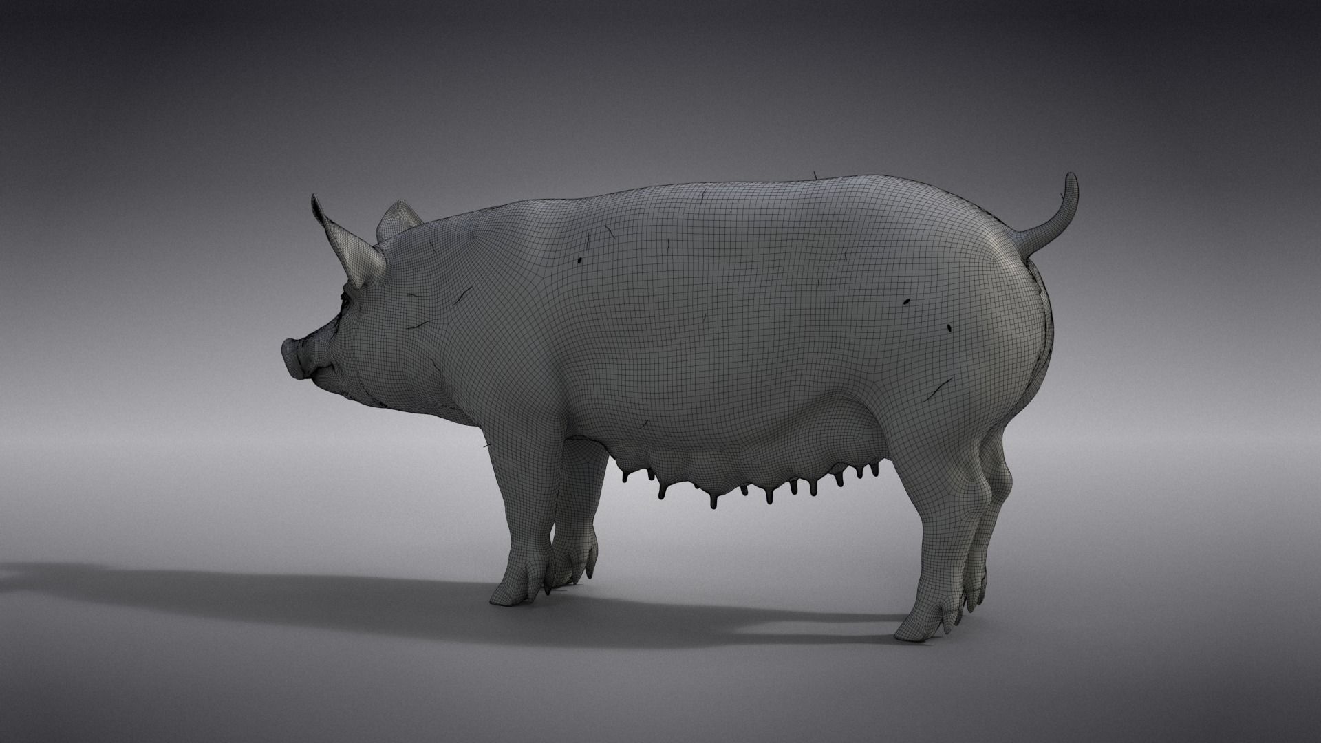 Female Pig with 2 Animations VFX Grace 3D model_22