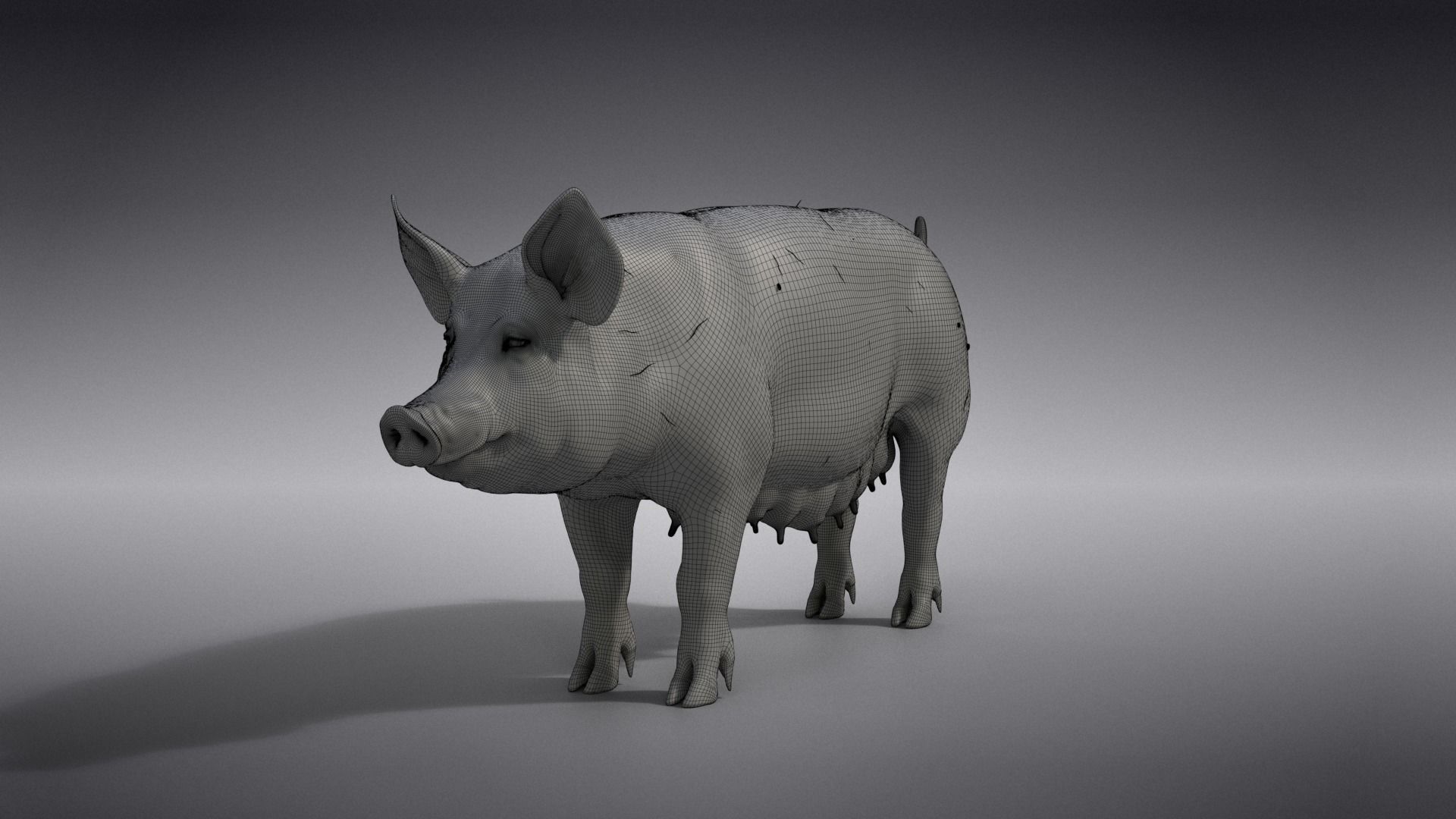Female Pig with 2 Animations VFX Grace 3D model_23