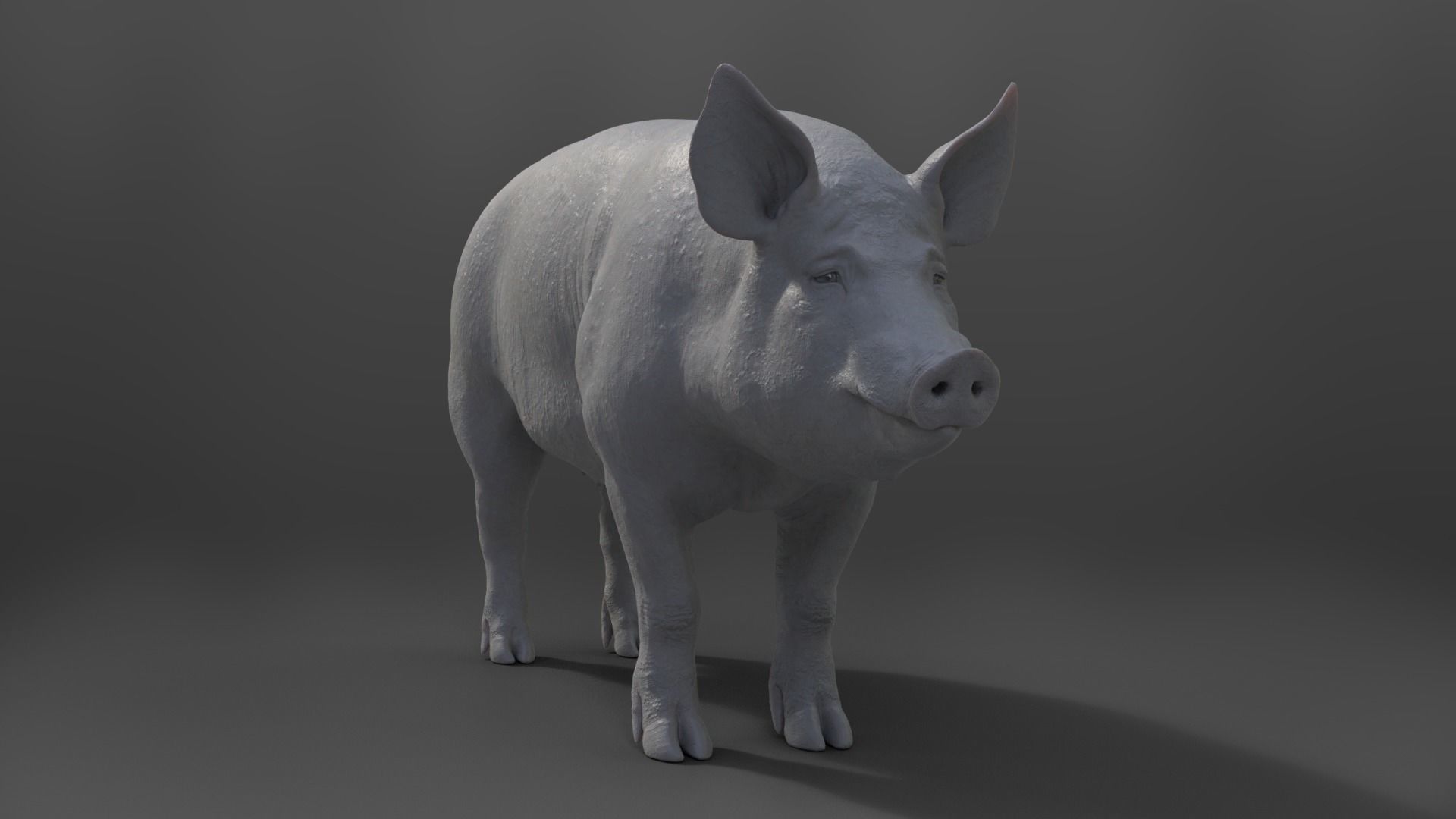 Male Pig with 7 Animations VFX Grace 3D model_16