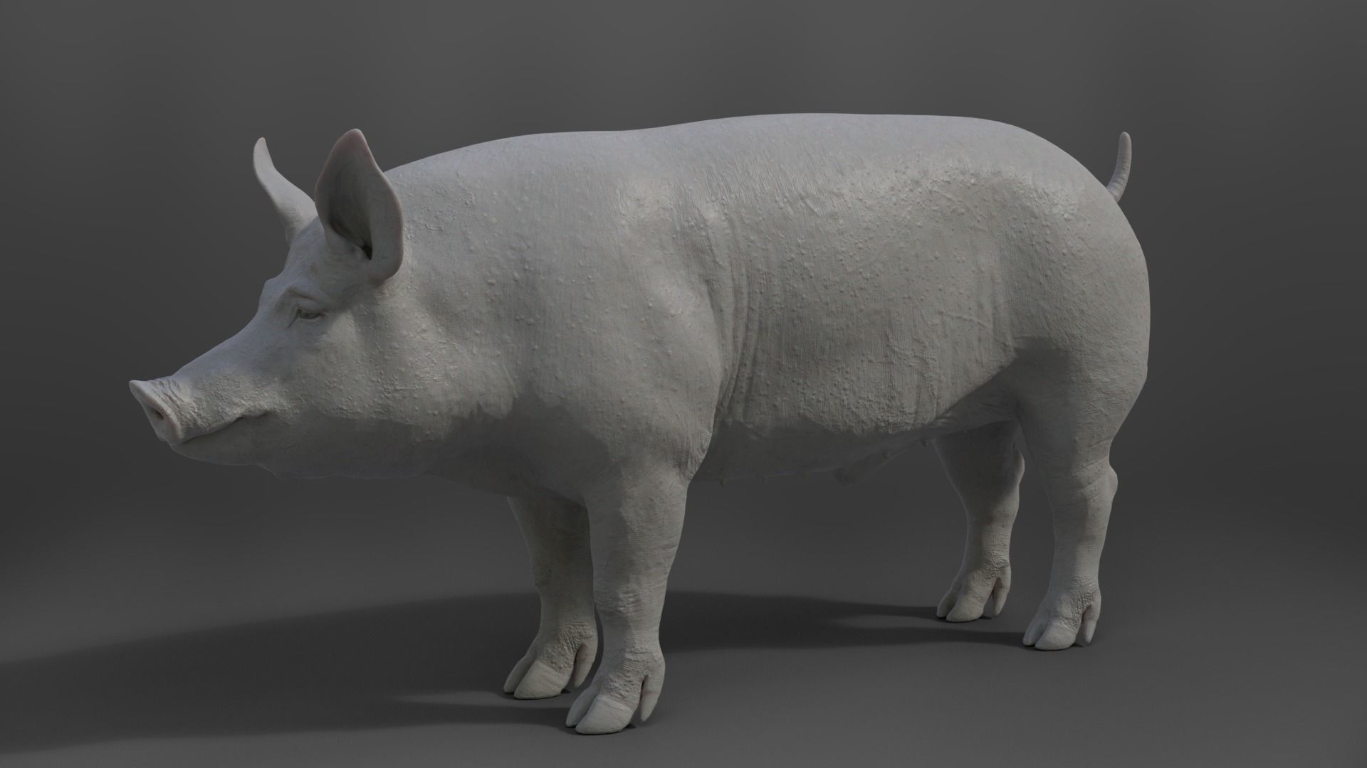 Male Pig with 7 Animations VFX Grace 3D model_15