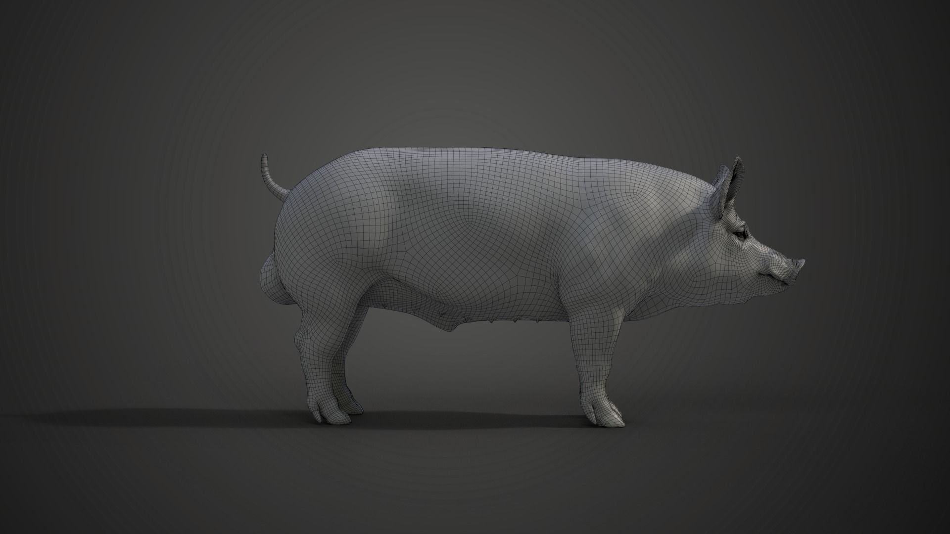 Male Pig with 2 Animations VFX Grace 3D model_17