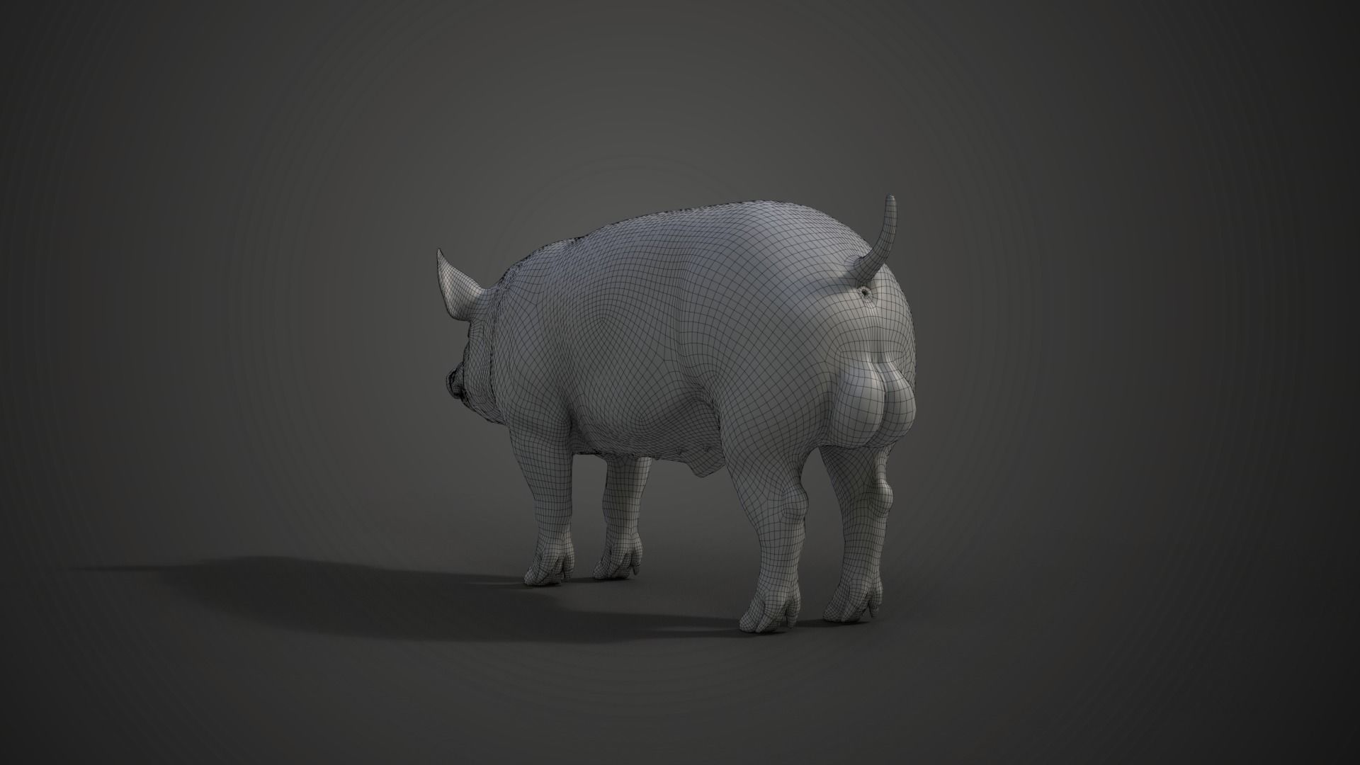 Male Pig with 2 Animations VFX Grace 3D model_16