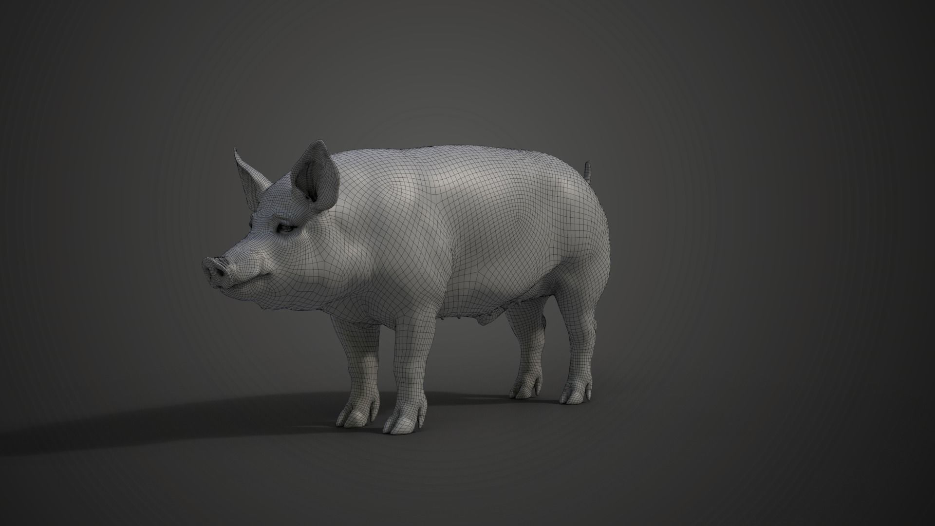 Male Pig with 2 Animations VFX Grace 3D model_18