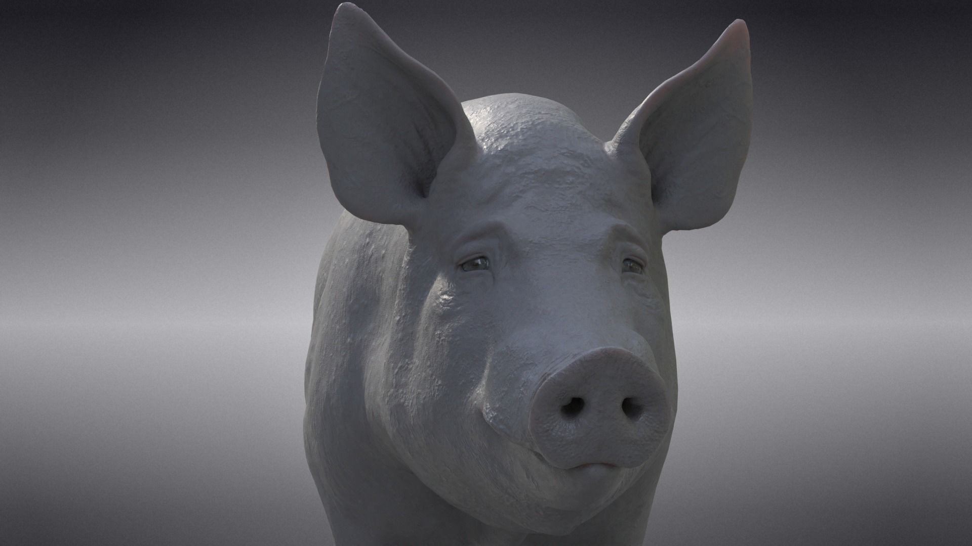 Male Pig with 2 Animations VFX Grace 3D model_13