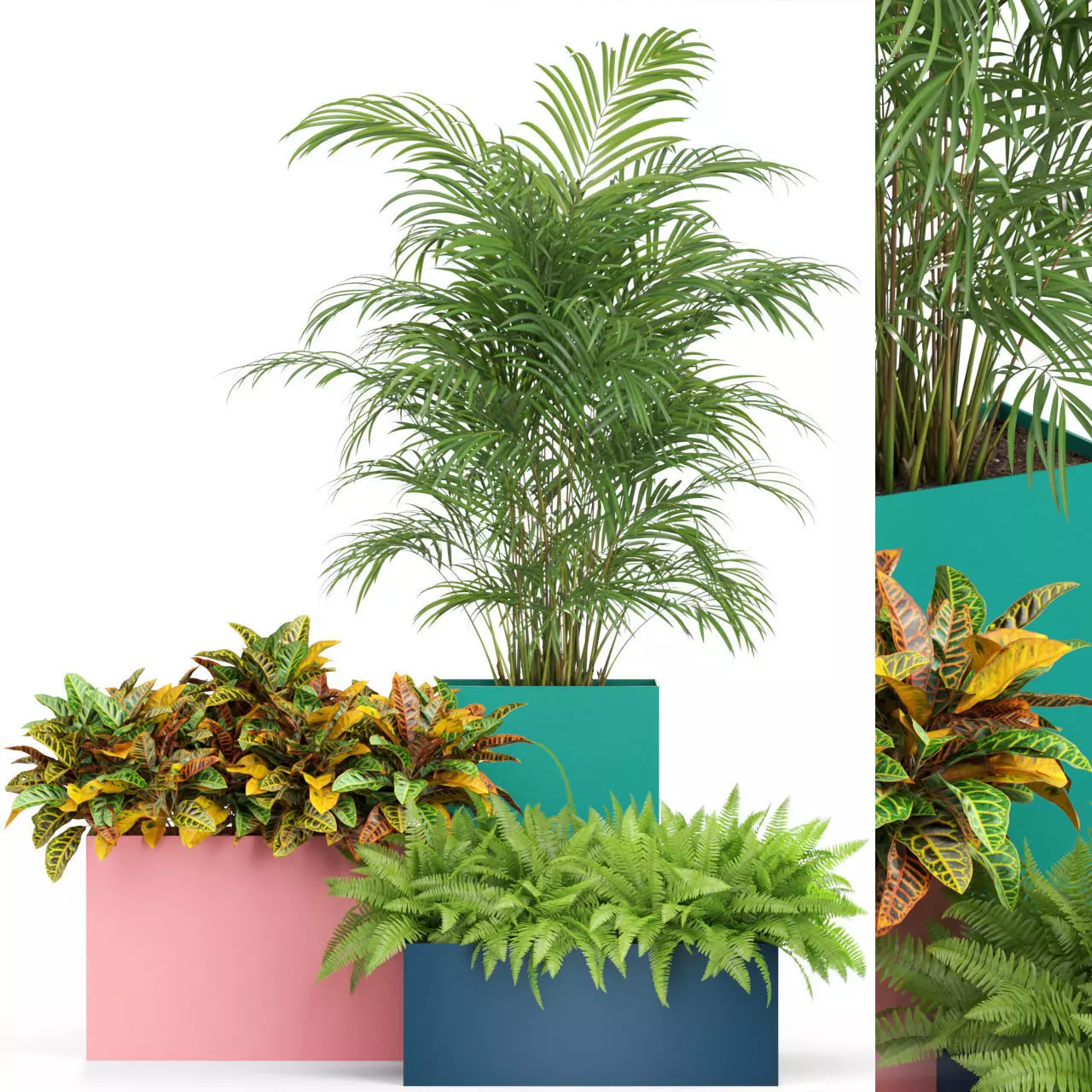 Plants collection 589 Atelier Belge 3D model