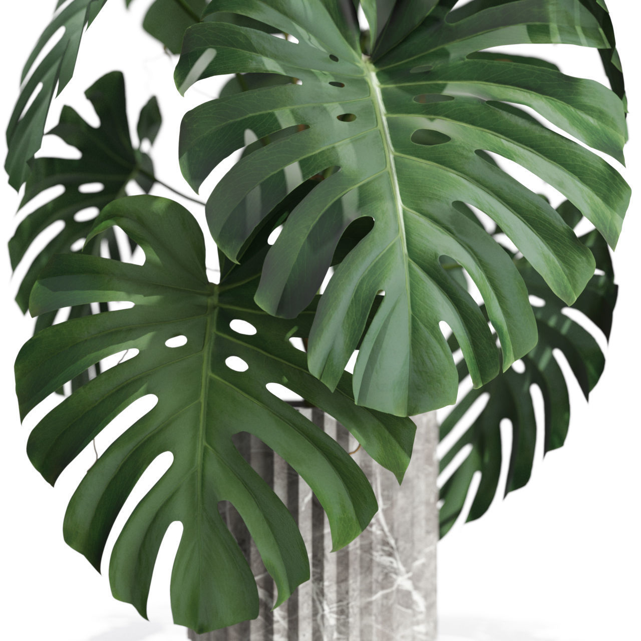Plants collection 590 3D model_1