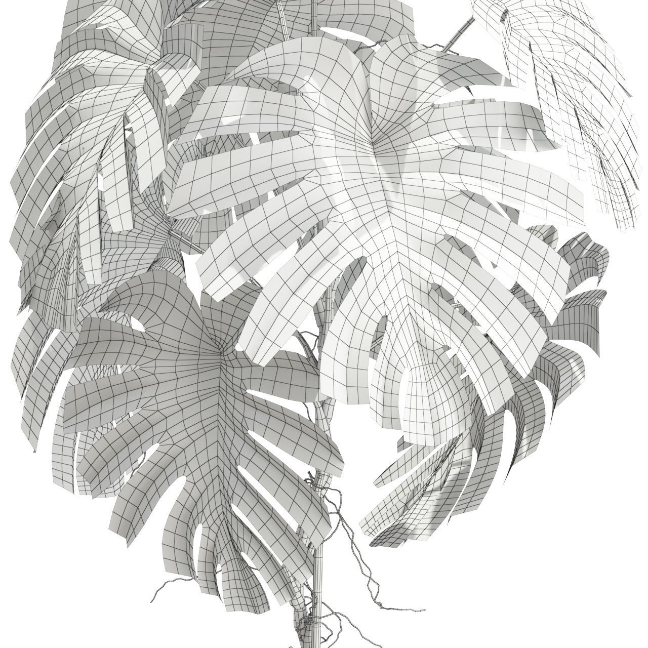 Plants collection 591 3D model_3