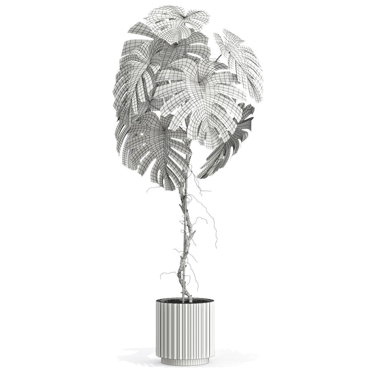 Plants collection 591 3D model_4