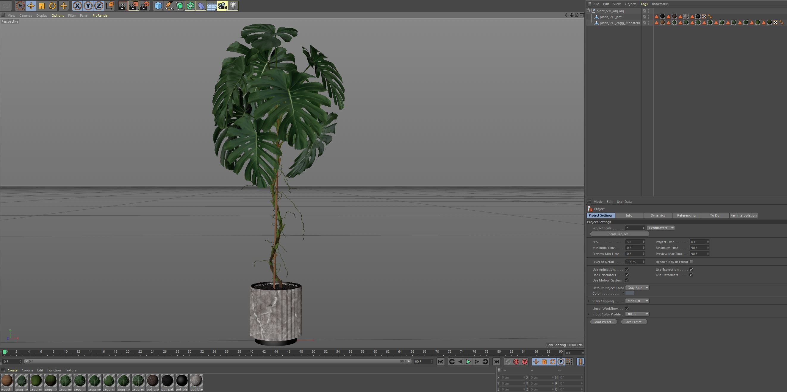 Plants collection 591 3D model_5