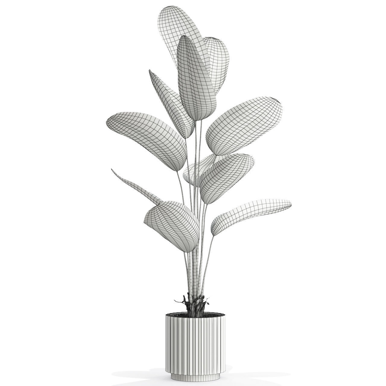 Plants collection 592 3D model_4