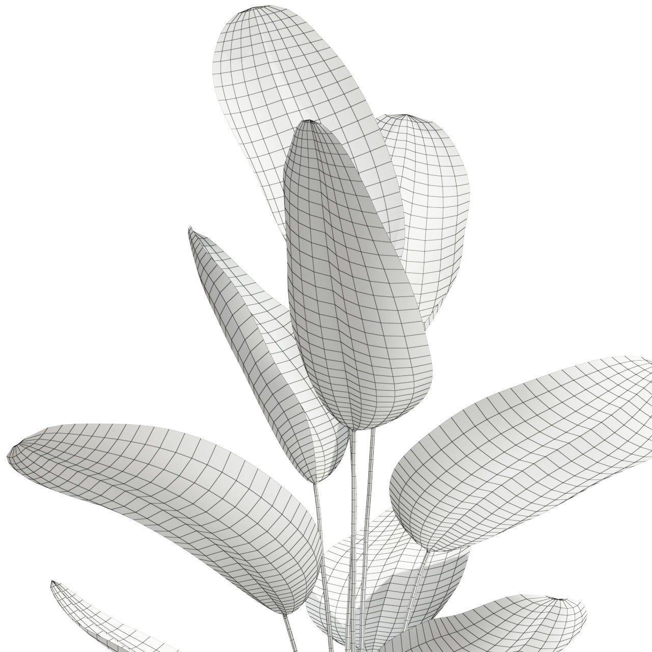 Plants collection 592 3D model_3