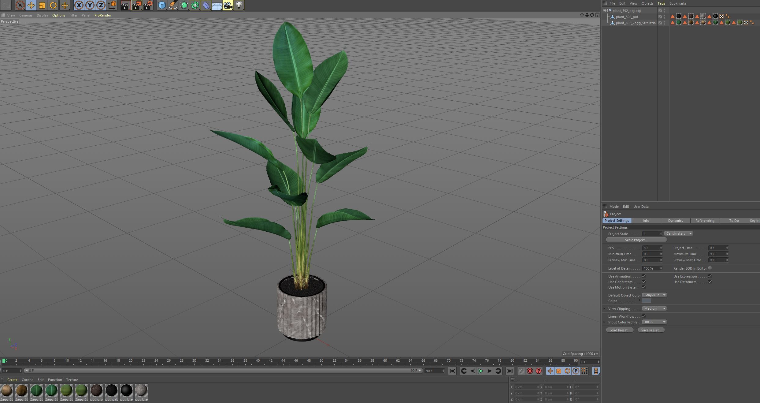 Plants collection 592 3D model_5