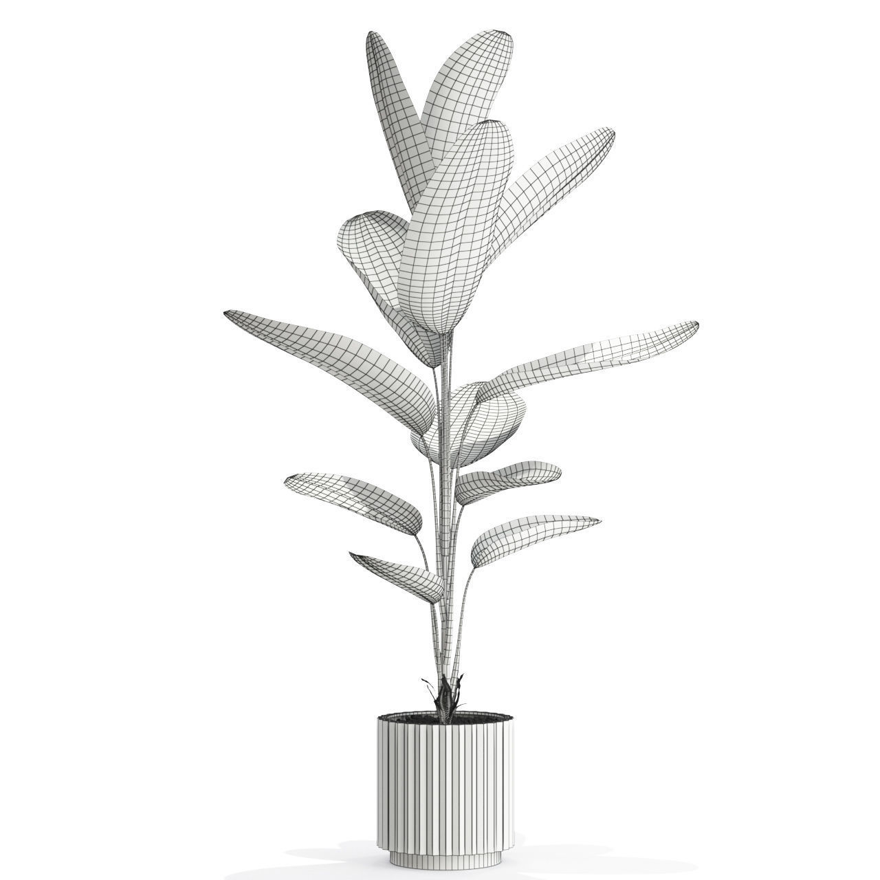 Plants collection 593 3D model_4