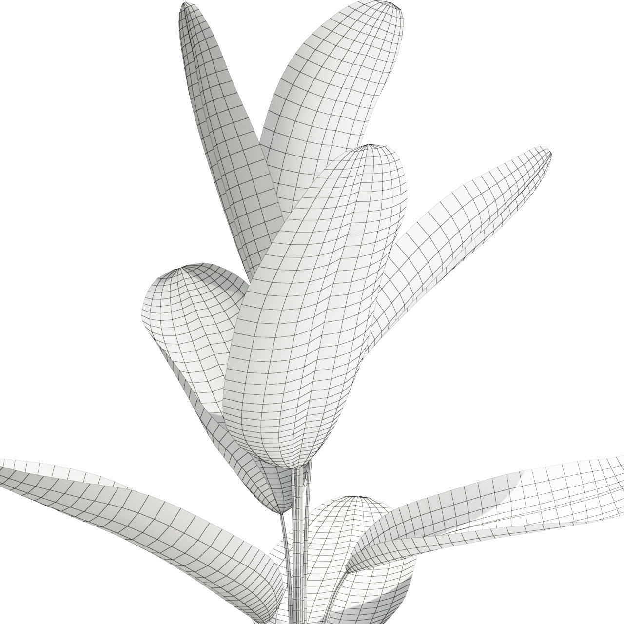 Plants collection 593 3D model_3
